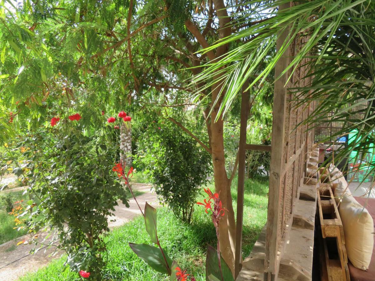 Hotel Ibis Tlemcen Exterior foto